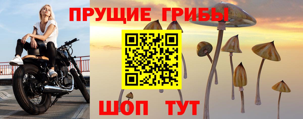 Галлюциногенные грибы MAGIC MUSHROOMS  Вход с VPN  Псилоцибиновые грибы Psilocybine cubensis  Старая Русса 