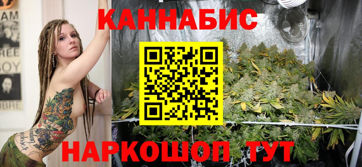 Канабис SATIVA & INDICA Старая Русса